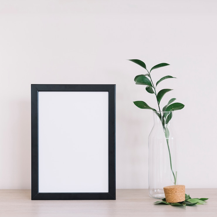 Gratis Foto plant en een frame