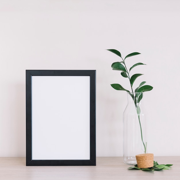 Plant en een frame