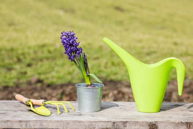 Plant en tuin stilleven