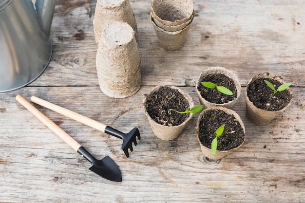 Plant en tuin stilleven