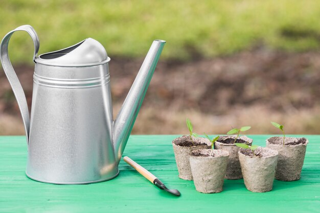 Plant en tuin stilleven