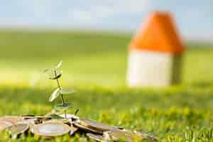 Gratis foto plant groeit in munten glazen pot voor geld op groen gras