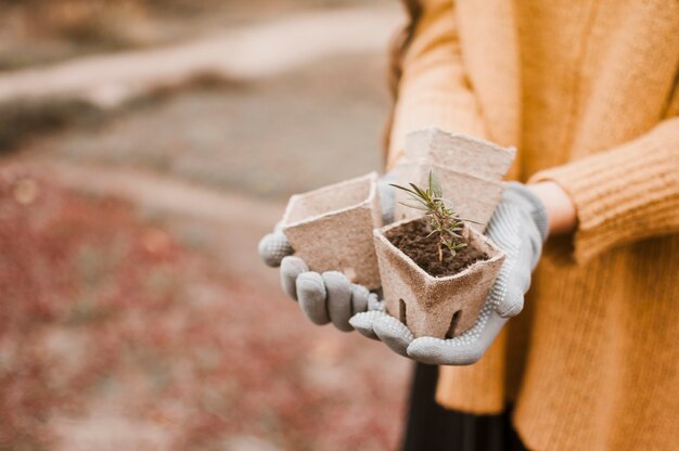 Plantenpotten