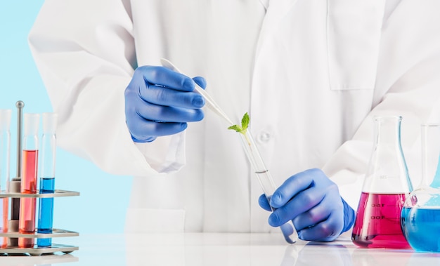 Plantenwetenschappen in lab