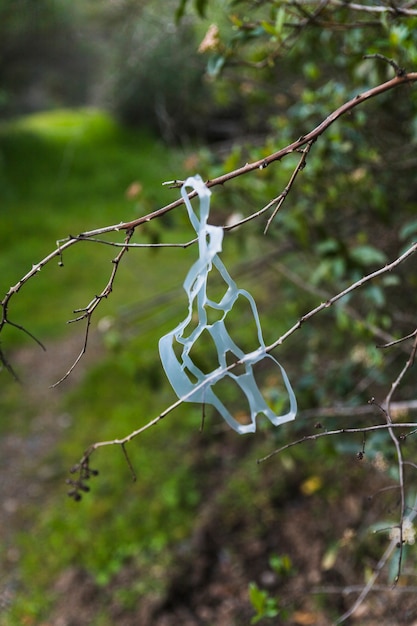 Plastic afval op boomstok in hout