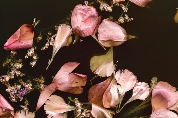 Plat delicate roze bloemen in zwart water