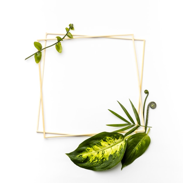 Gratis foto plat lag arrangement van groene bladeren met lege frames