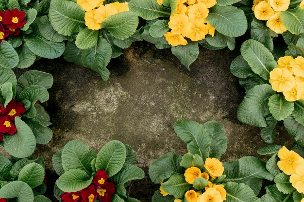 Plat lag frame met bloemen en stucwerk achtergrond