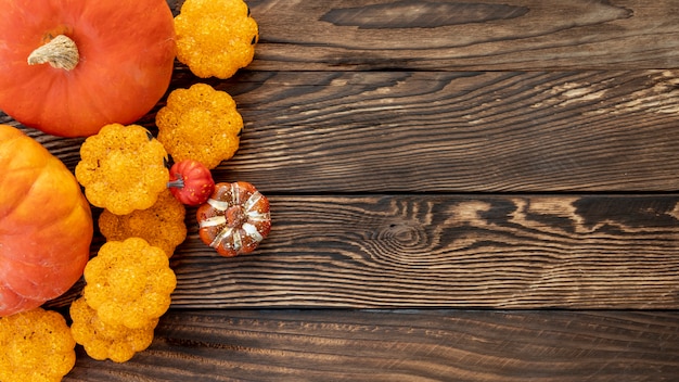 Gratis foto plat lag kleurrijke pompoenen op houten achtergrond