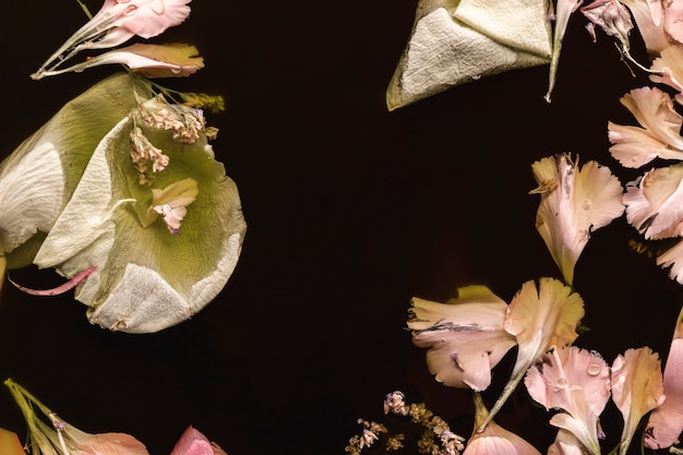 Plat lag roze bloemen in zwart water