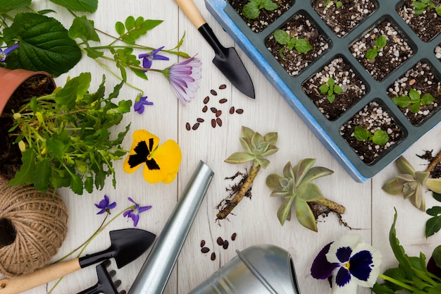 Plat lag tuingereedschap en planten op houten achtergrond