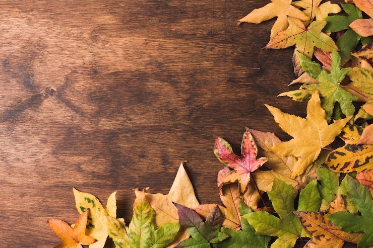 Gratis Foto plat leggen herfst laat kopie ruimte