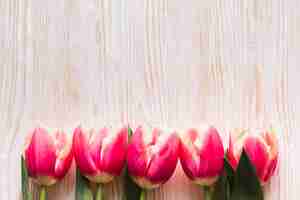 Gratis foto plat leggen tulpen op tafel