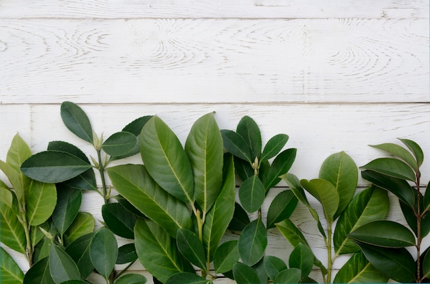 Plat leggen van bladeren concept met houten tafel