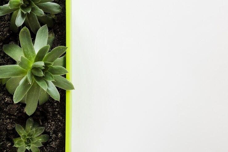 Gratis Foto plat leggen van bladeren met copyspace