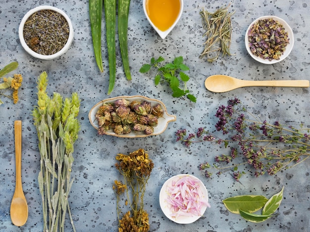 Plat leggen van geneeskrachtige specerijen en kruiden