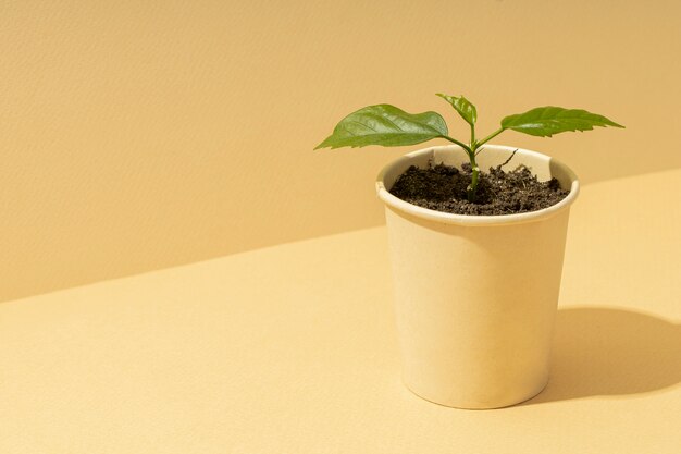 Plat leggen van groeiende planten