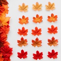Plat leggen van herfstkleur bladeren