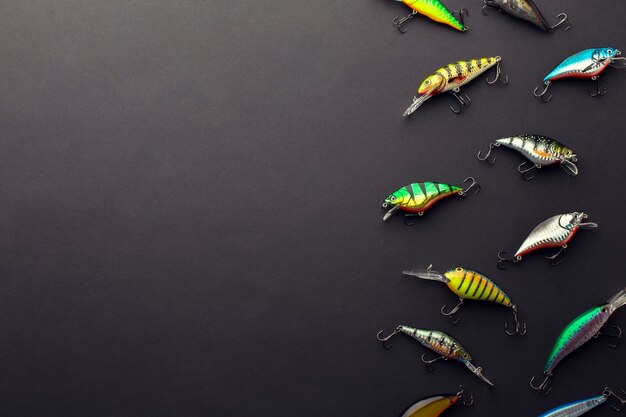 Plat leggen van kleurrijke vis aas met kopie ruimte