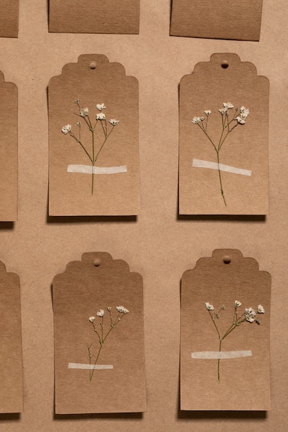 Gratis foto plat leggen van minimale bloemen