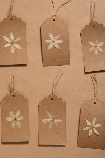 Gratis foto plat leggen van minimale bloemen