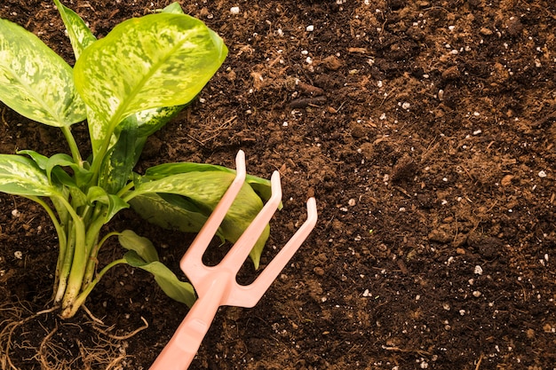 Plat leggen van planten en harken