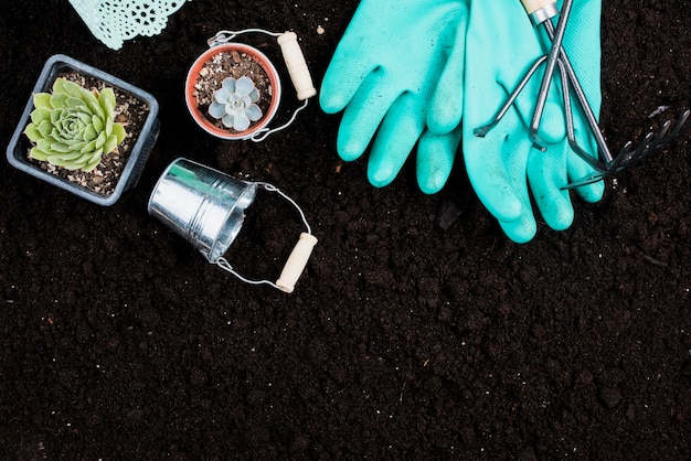 Plat leggen van planten en tuingereedschap