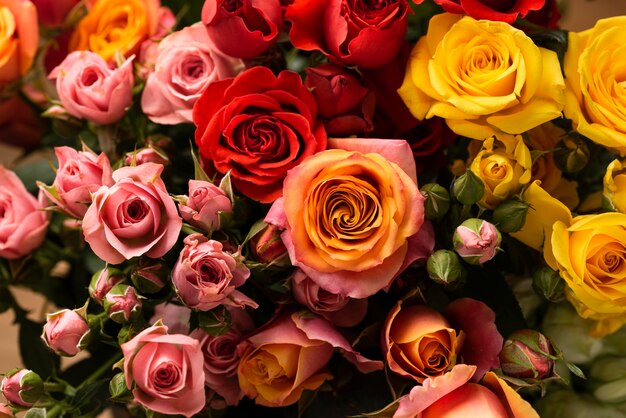 Plat leggen van prachtig bloeiende kleurrijke roze bloemen