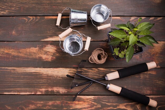 Plat leggen van tuingereedschap en planten