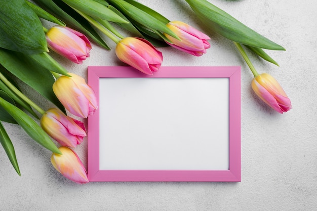 Plat liggende frame met roze tulpen
