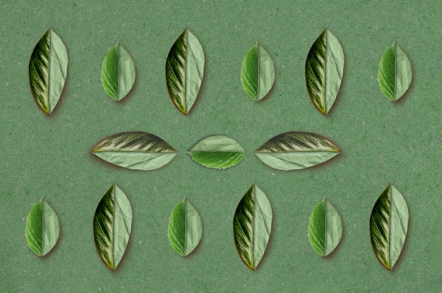 Platliggend arrangement met groene bladeren
