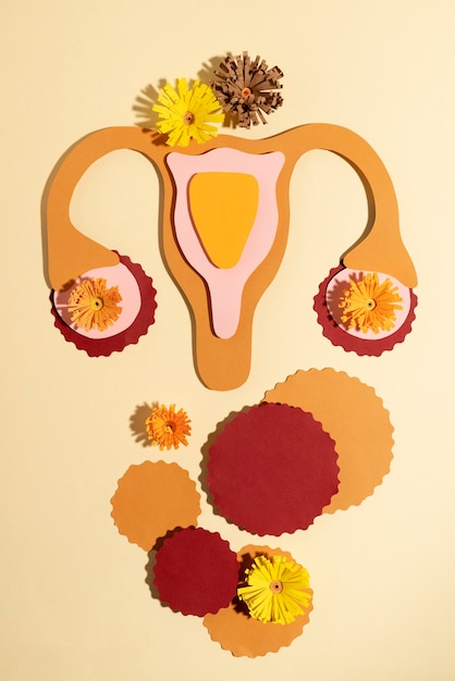 Gratis foto platliggend voortplantingssysteem en bloemen voor vrouwen