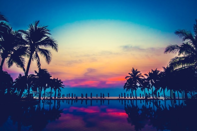 pool, natuur, landschap palm oceaan