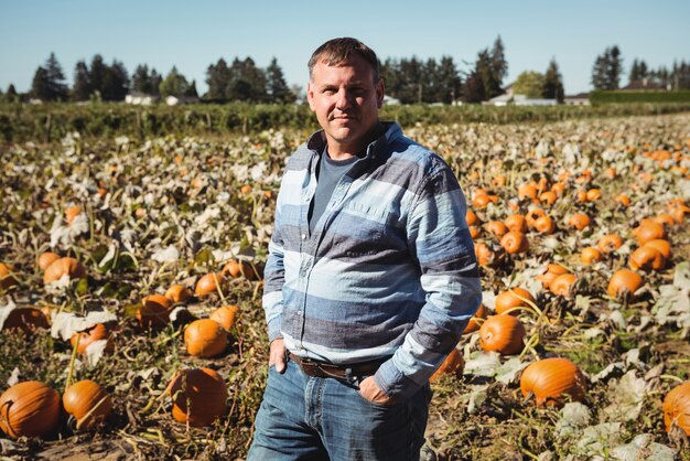 Portret die van landbouwer zich op pompoengebied bevinden