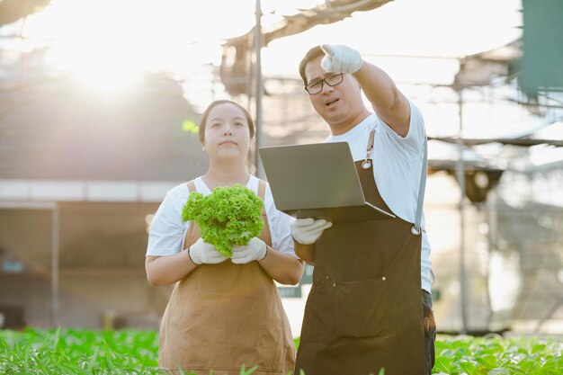 Portret van Aziatische boer man en vrouw die werken met laptop in biologische plantaardige hydrocultuur boerderij. Hydroponic saladetuineigenaar die de kwaliteit van de groente in de kasplantage controleert.