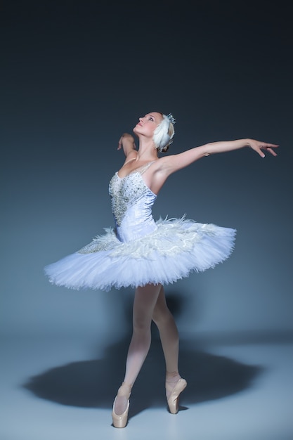 Portret van de ballerina in de rol van een witte zwaan op blauwe achtergrond