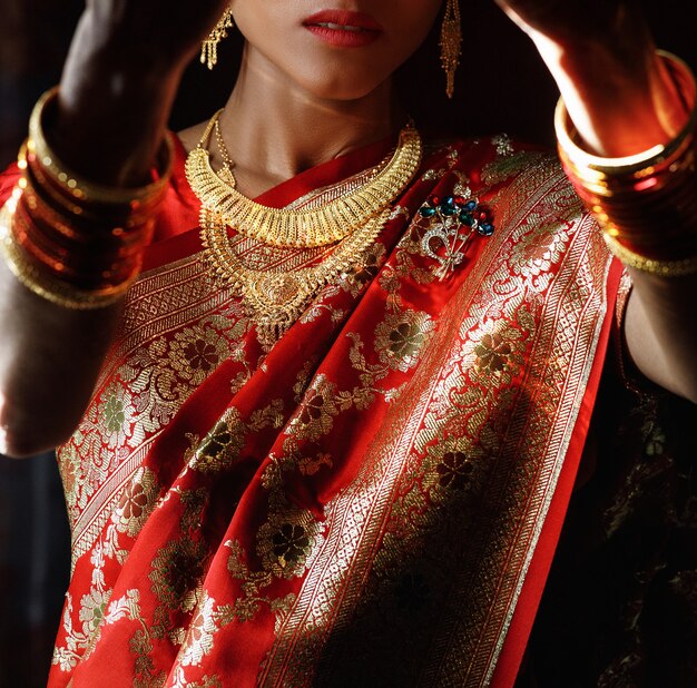 Portret van de hindoe-bruid in traditionele rode sari met gouden acce
