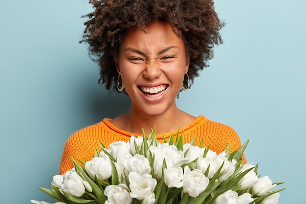 Portret van een blije vrouw met afro kapsel close-up, lacht oprecht, drukt goede emoties uit, houdt witte tulpen vast, houdt van lentebloemen, geniet van een aangenaam aroma, geïsoleerd over blauwe muur.