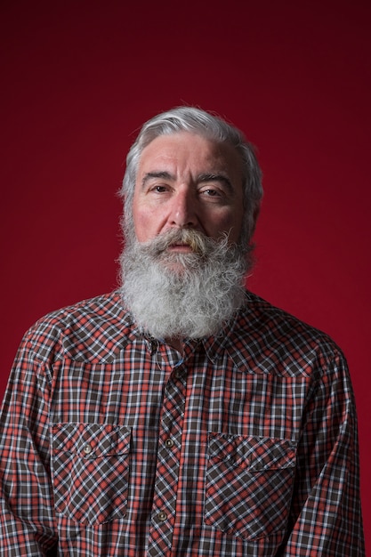 Portret van een hogere mens die met grijze baard aan camera tegen rode achtergrond kijkt