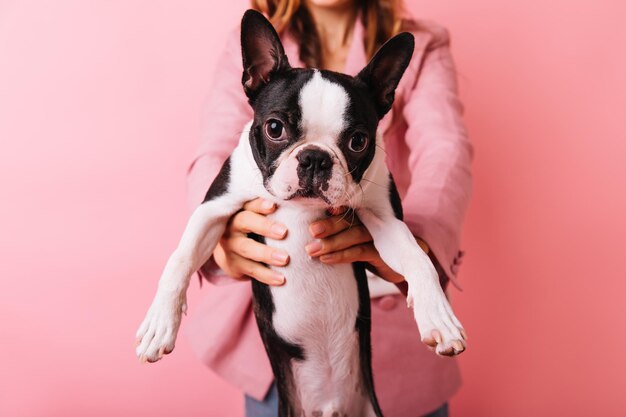 Portret van een vrouw in een roze jas met een Franse bulldog op de voorgrond Binnenopname van een trendy vrouwelijk model met puppy