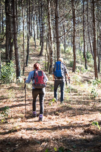 Portret van Hiking Paar backpacker in het dennenbos.