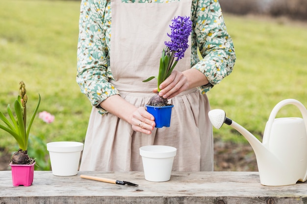 Gratis foto portret van vrouw tuinieren