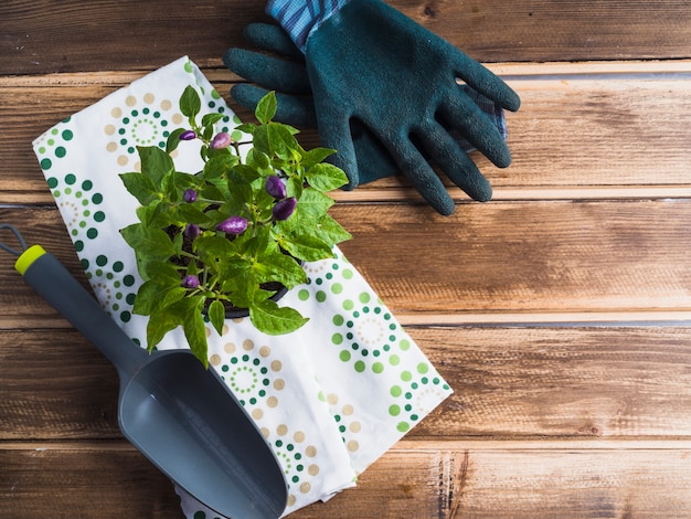 Gratis foto potplant met schop en een paar handschoen over de houten tafel