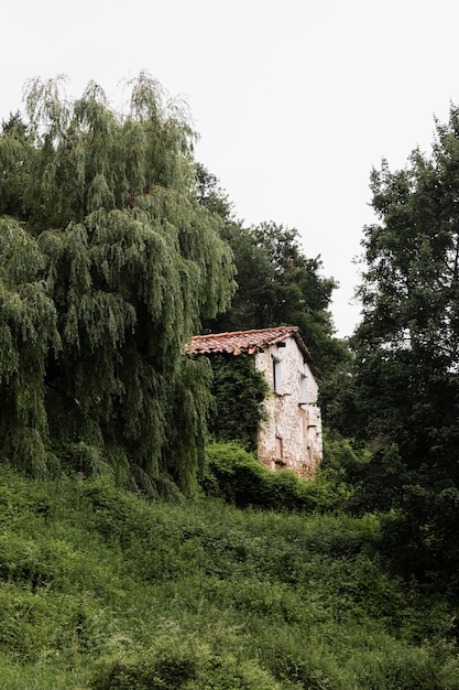 Prachtig berglandschap op een zonnige dag