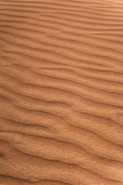 Prachtig en warm woestijnlandschap