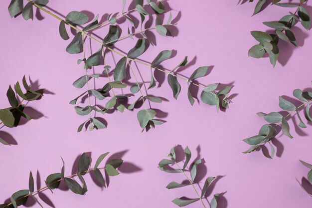 Prachtig eucalyptus arrangement