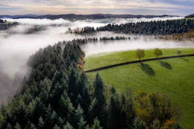 Prachtig groen landschap met plantages en bomen onder een bewolkte hemel