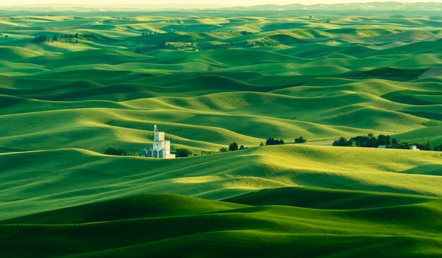 Prachtig groen landschap