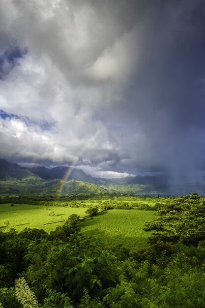 Prachtig landschap met groen gras en het adembenemende uitzicht op de regenboog in de onweerswolken