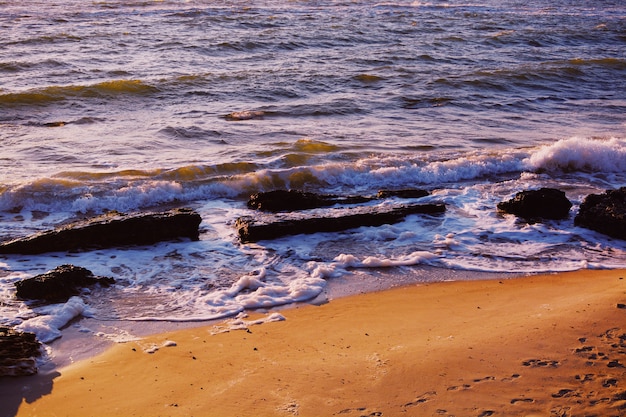 Prachtig landschap van de zee tijdens een geweldige zonnige dag op het strand